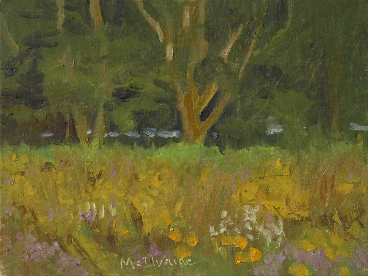 Down the Flowered Hill by Joanne McIlvaine  Image: Painted at Samuel Lewis State Park. 06.09.25_No.2