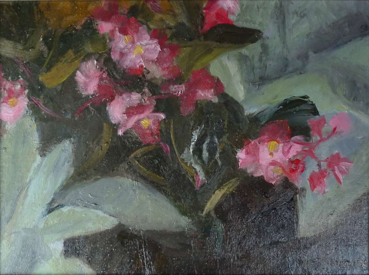 Begonias in Rain by Joanne McIlvaine 