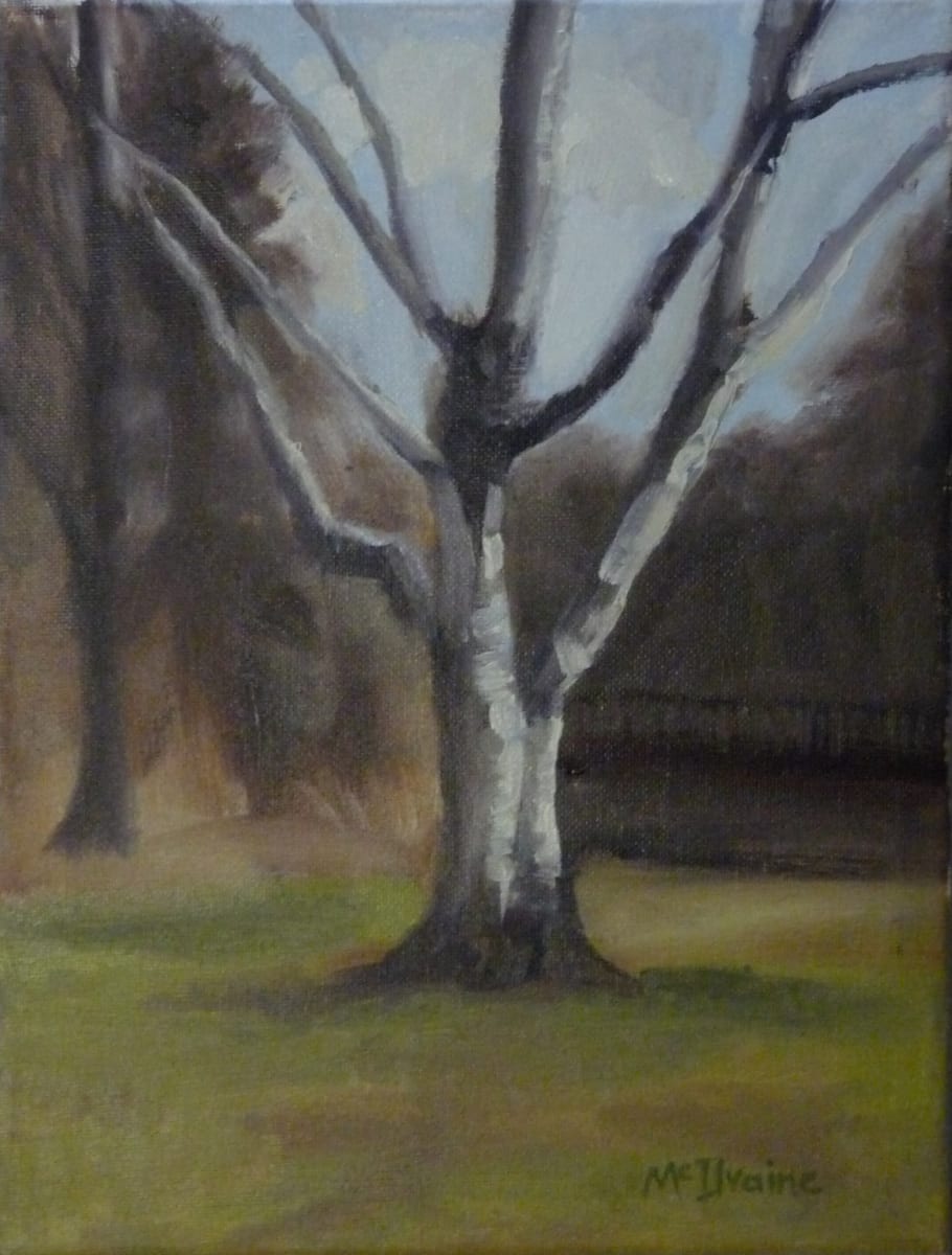Shining Birch  Image: Painted in early 2020. Painted at Long's Park on the first warm day of spring, one week before the pandemic lock-down.