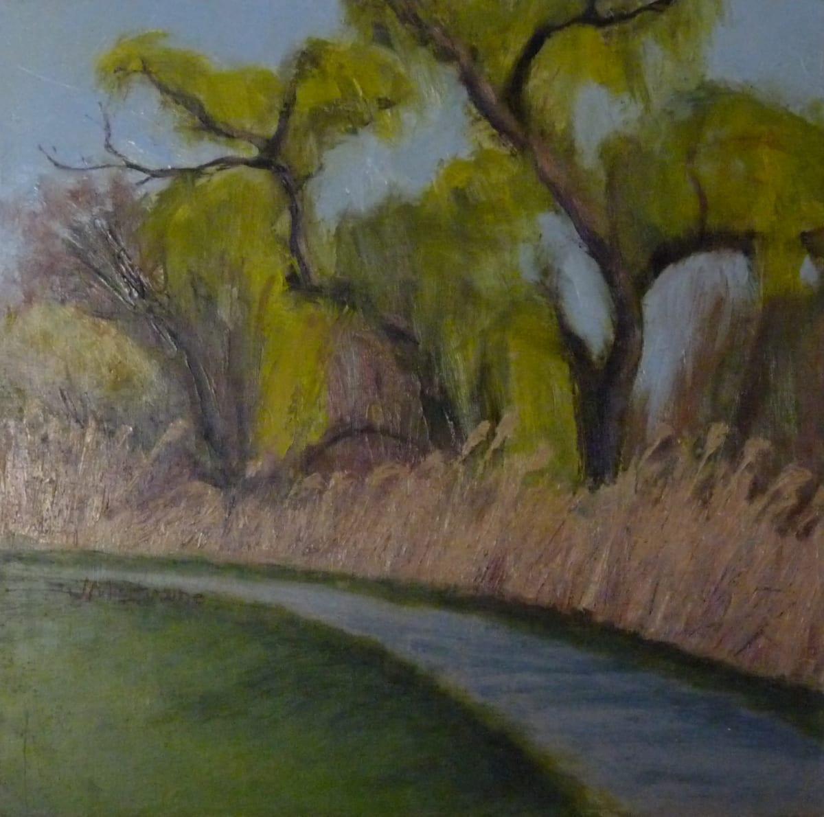 Willows in Spring  Image: Painted at Noel Dorwart park