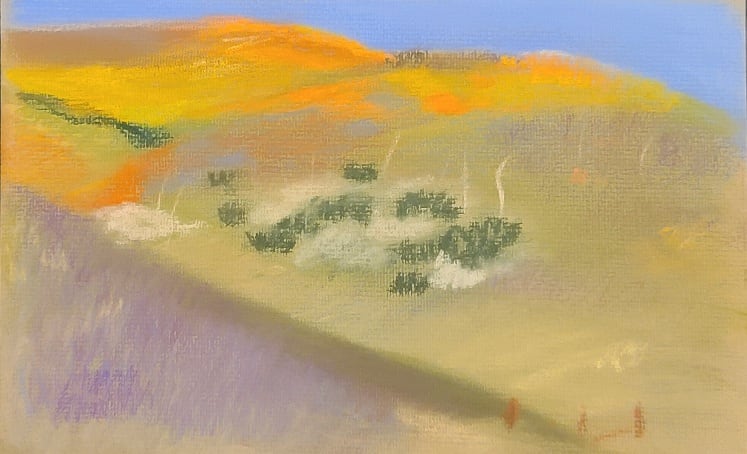 Wildflowers at Tejon Ranch by Ellen Hamilton O'Donnell 