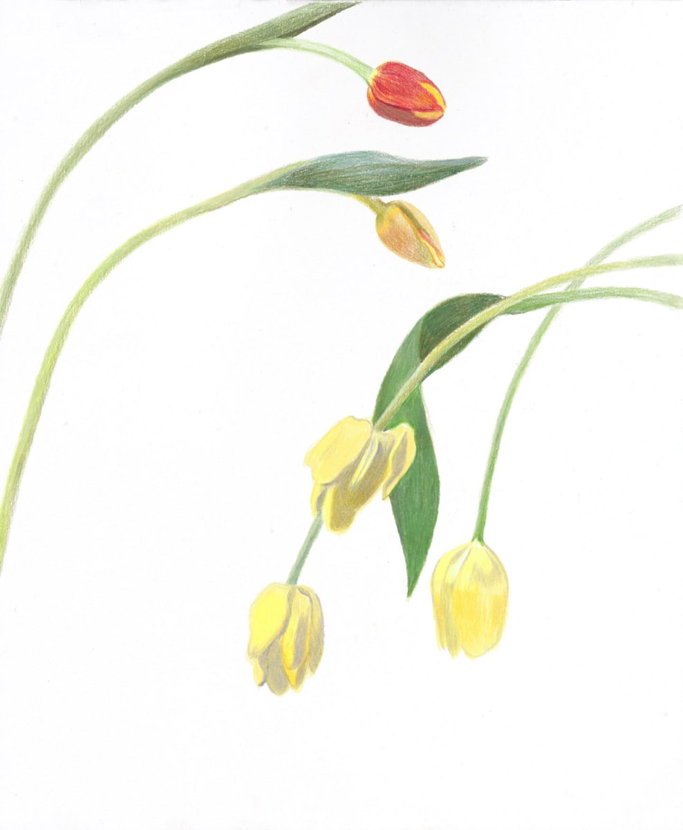 Flower Fiction 5 by Ellen Hamilton O'Donnell 
