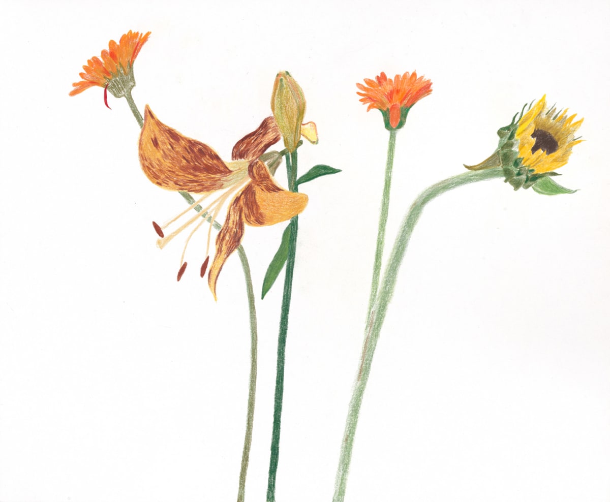Flower Fiction 8 by Ellen Hamilton O'Donnell 