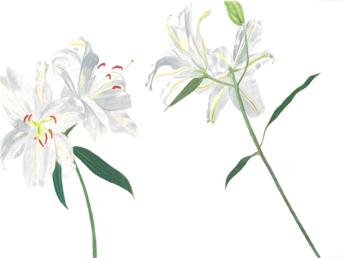 Flower Fiction 14 by Ellen Hamilton O'Donnell 