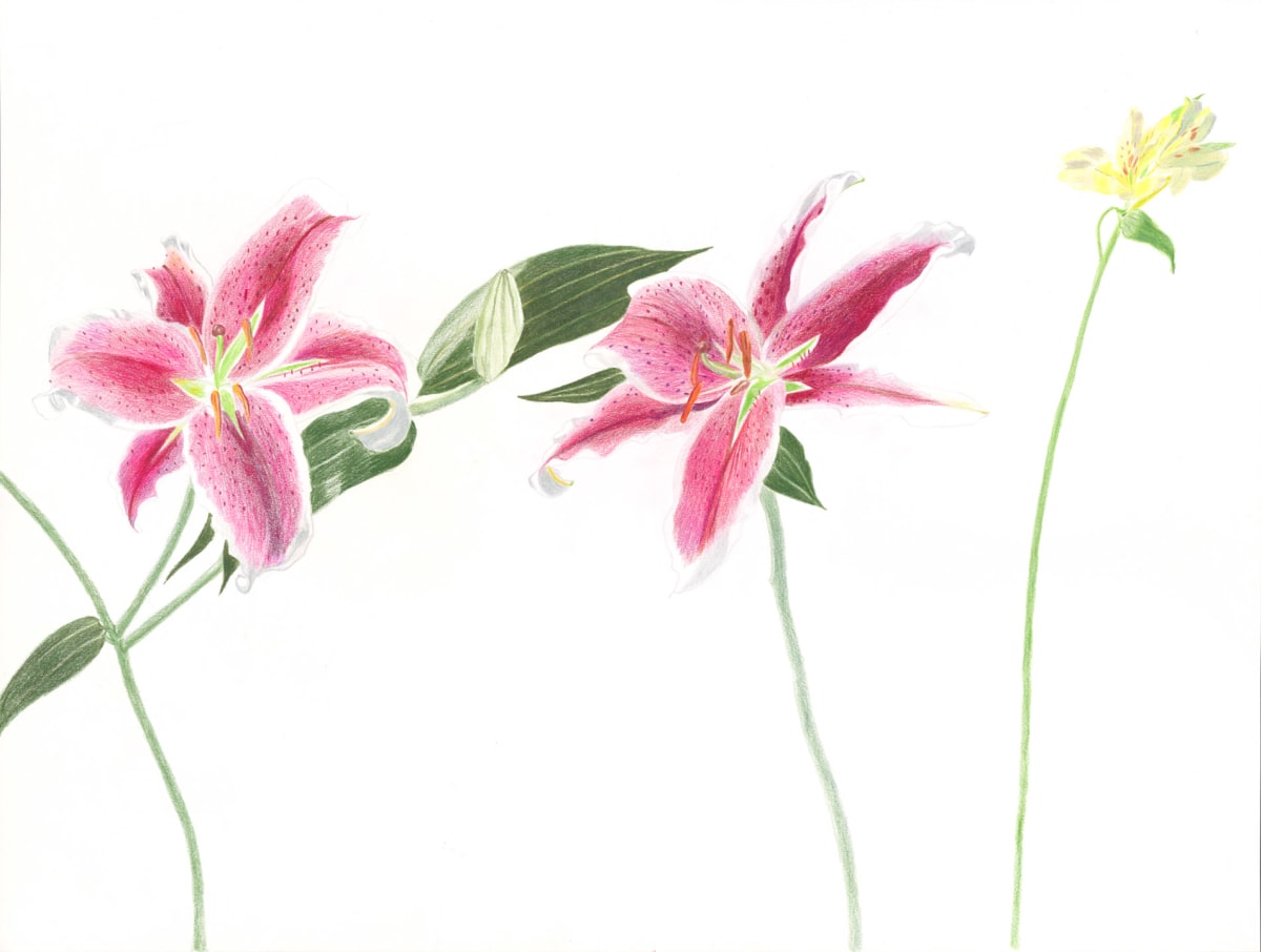 Flower Fiction 16 by Ellen Hamilton O'Donnell 