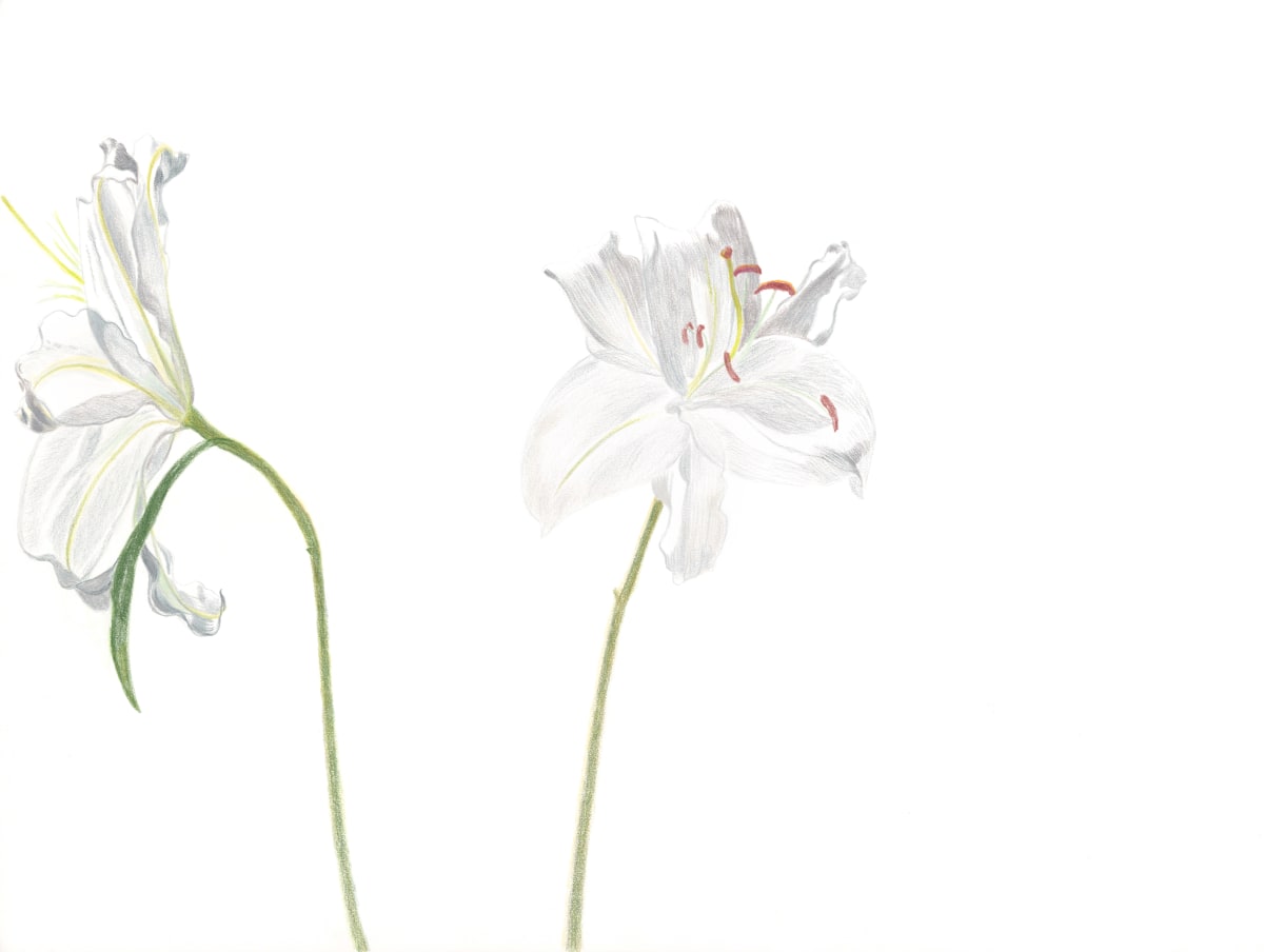 Flower Fiction 15 by Ellen Hamilton O'Donnell 