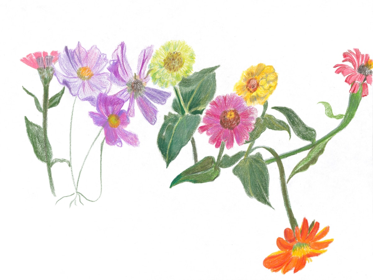 Cutting Garden 7 by Ellen Hamilton O'Donnell 
