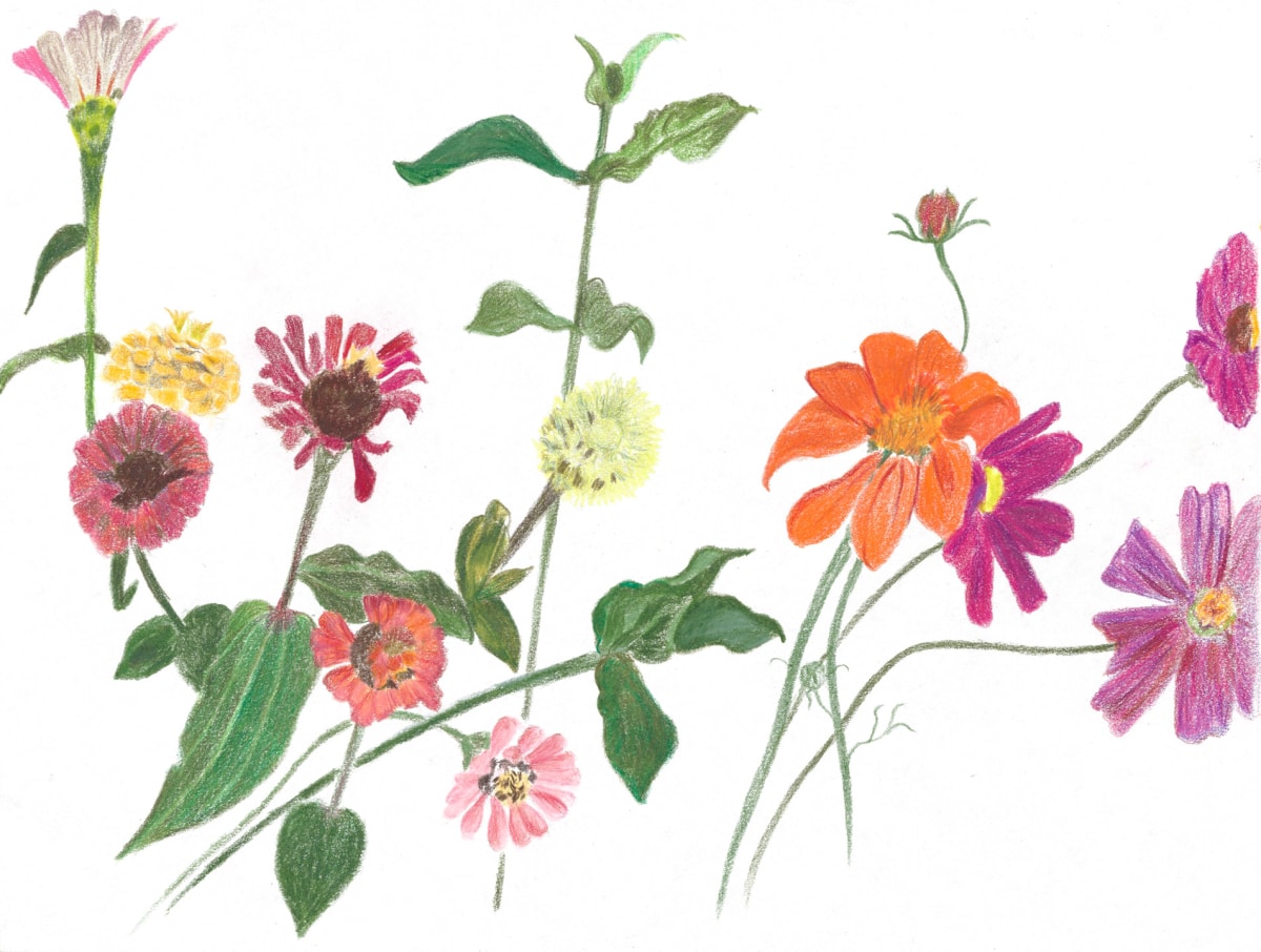 Cutting Garden 9 by Ellen Hamilton O'Donnell 
