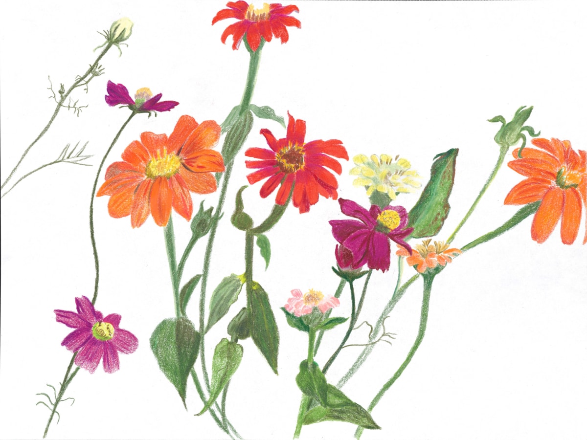 Cutting Garden 10 by Ellen Hamilton O'Donnell 