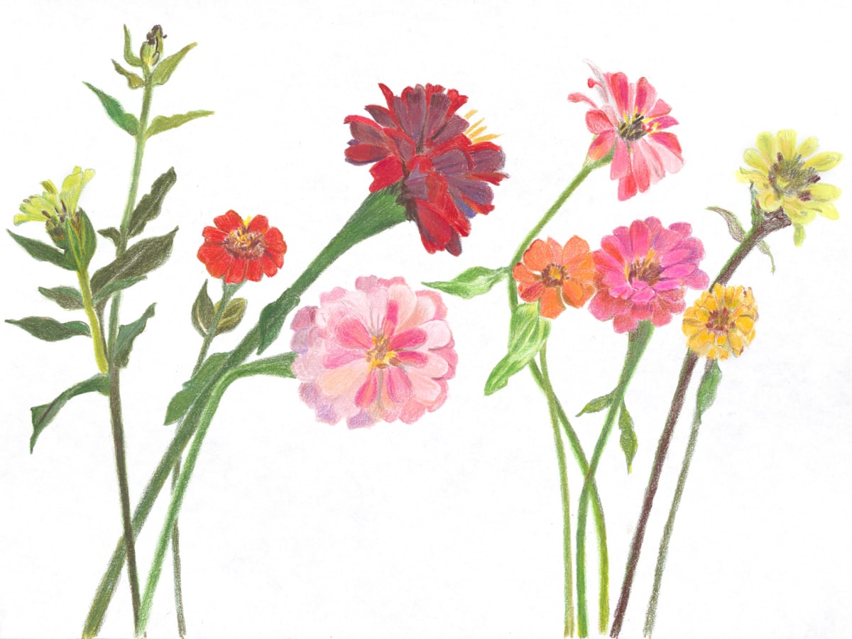 Cutting Garden 16 by Ellen Hamilton O'Donnell 
