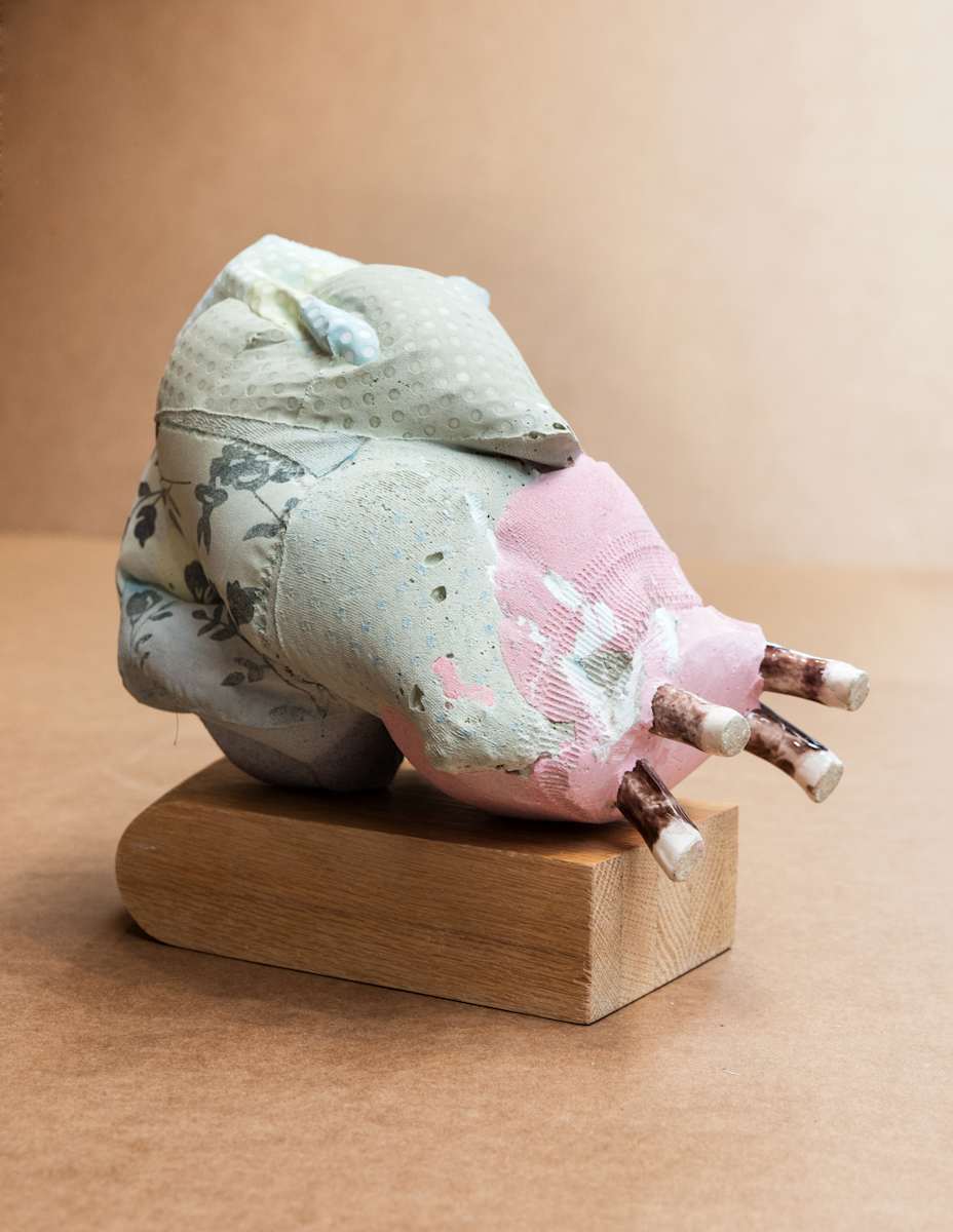 fighting forward by Elizabeth Emery, Image 1.