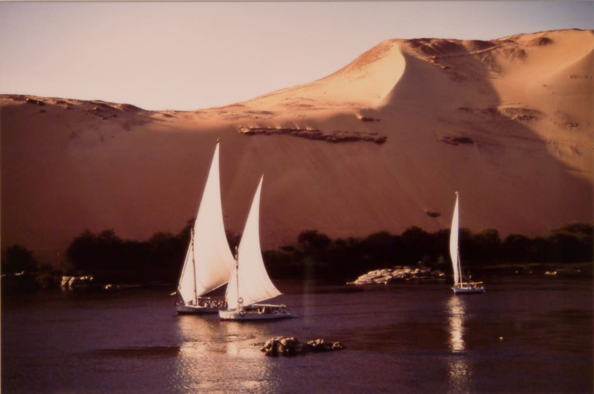 Felucca on Nile by Frances Waltz 