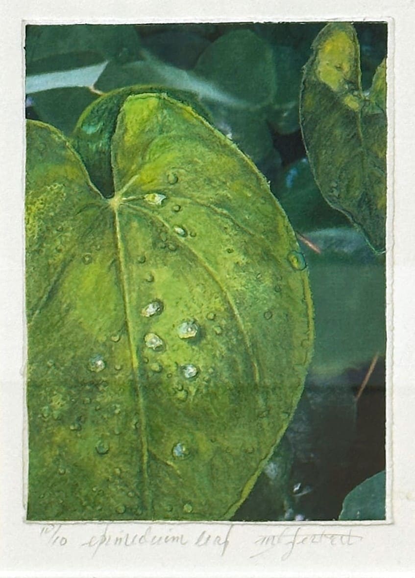 Epimedium Leaf by Mary Lou Ferbert 