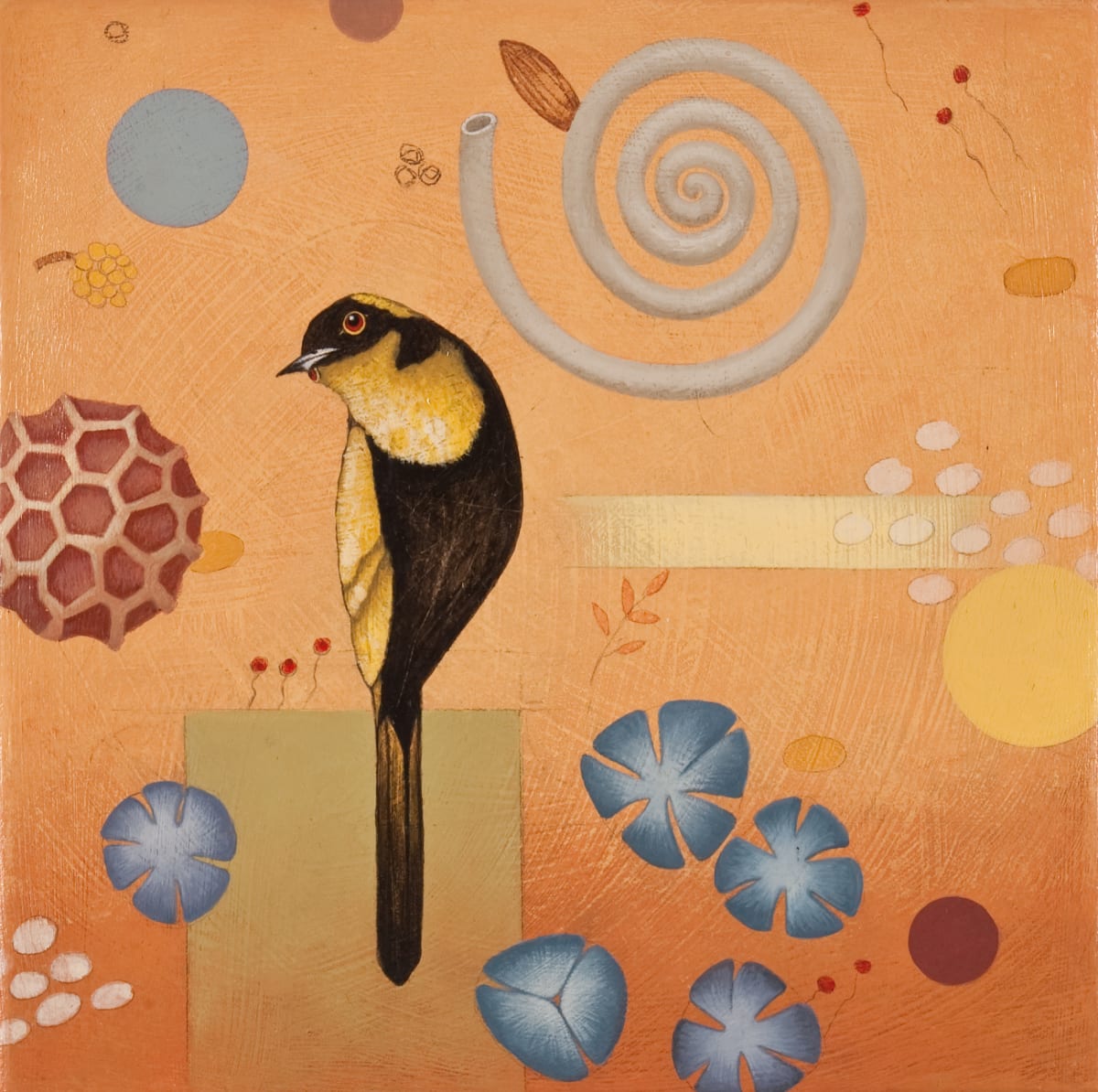Forms from Nature #5 by Lynn O'Brien, Image 1.