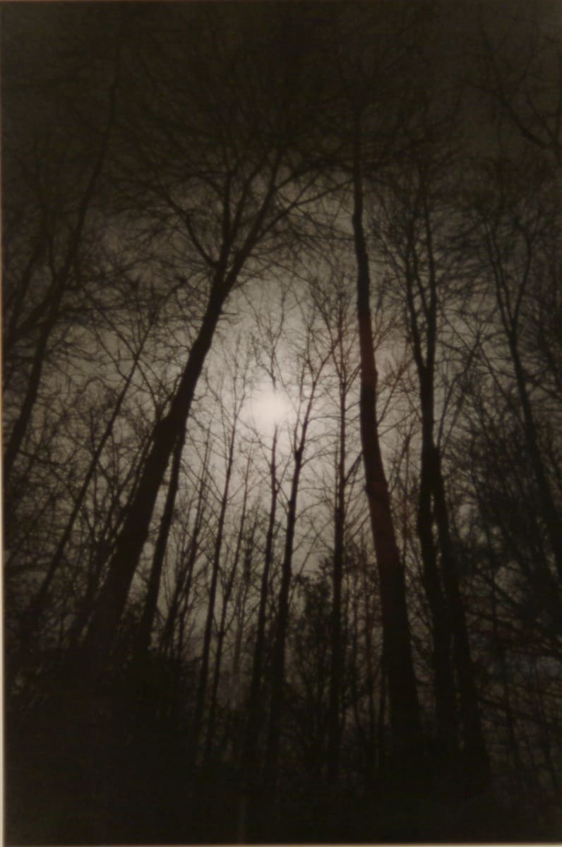 November Night by Robert L Palmer, Image 1.