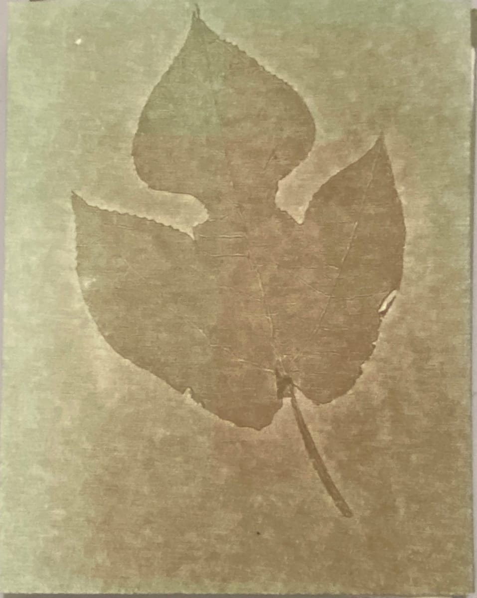 Kozo book by Kelly Pontoni, Image 1.
