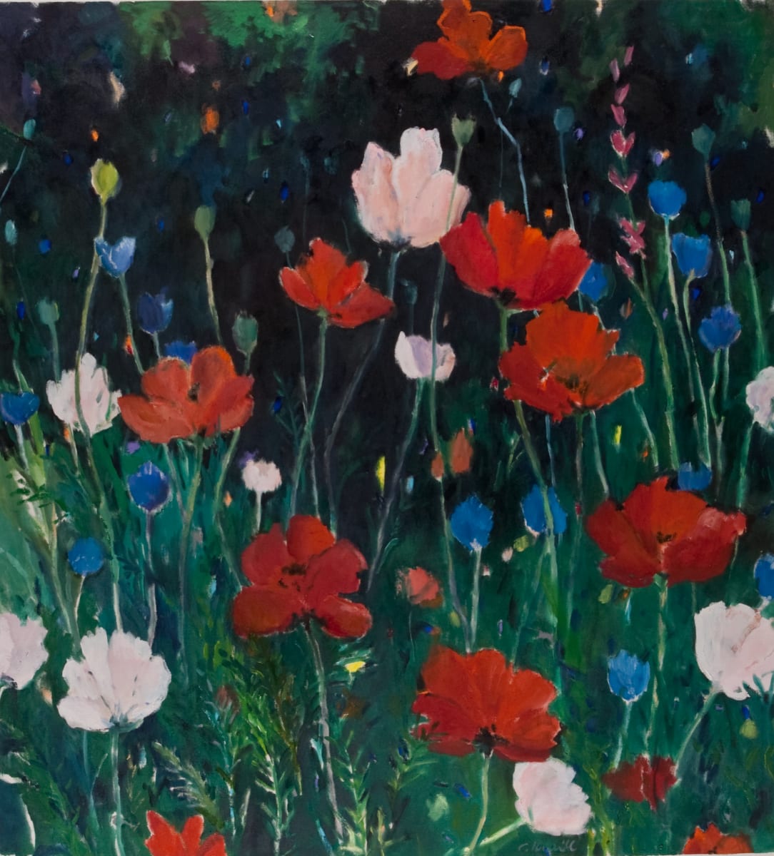 in Praise of Poppies by Carl Krabill 