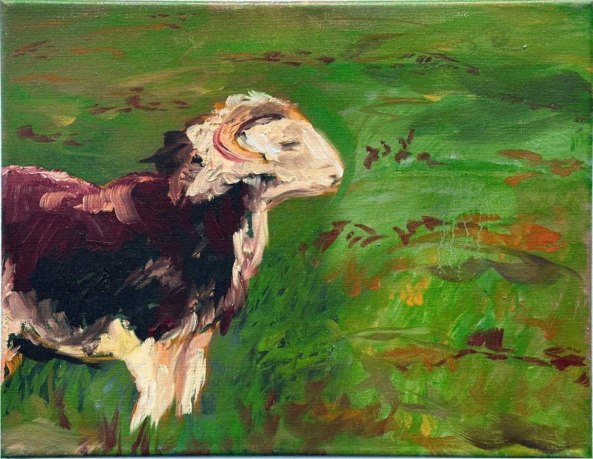Portrait of a Ram by Maeve Billings 