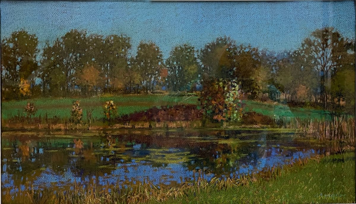 Medina County Pond by Doug Unger  Image: Silent Auction