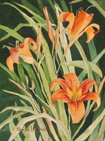 Day Lilies by Sheila Scolnick 