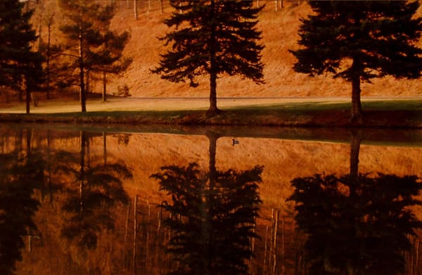 Reflections by Ralph Tarsitano, Image 1.