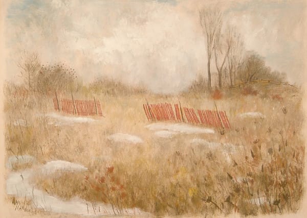 Snow Fence by Wray Manning 