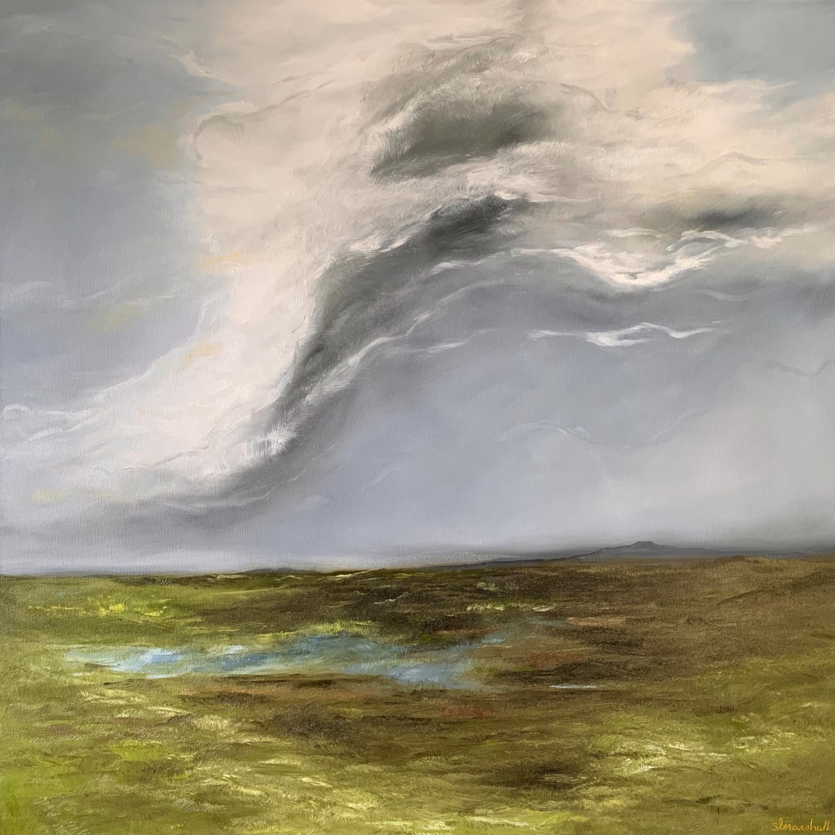 Solstice Storm by Shawn Marshall, Image 7.