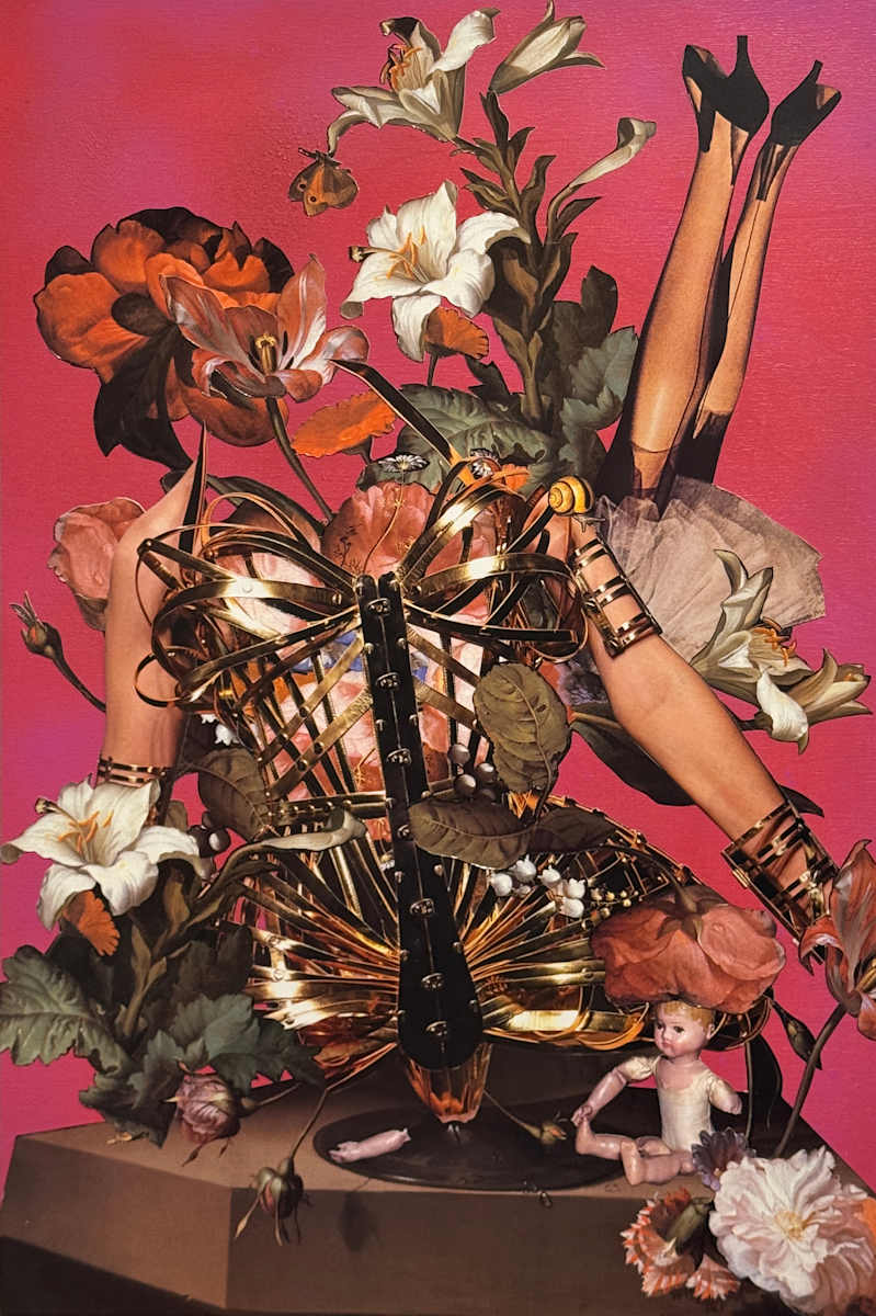 Deconstructing Venus by Shawn Marshall 