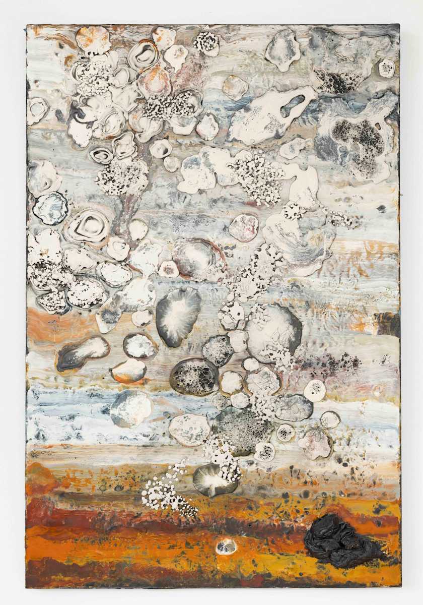 Dark Attractor by Lynn Basa 