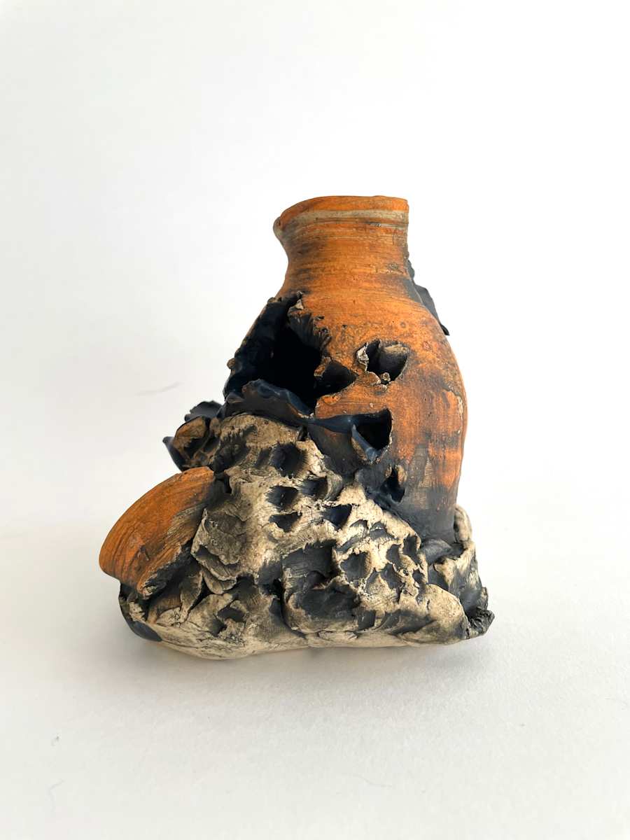 Disaster #2 by Lynn Basa, Image 4.