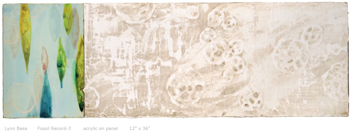 Fossil Record #3, Image 1.