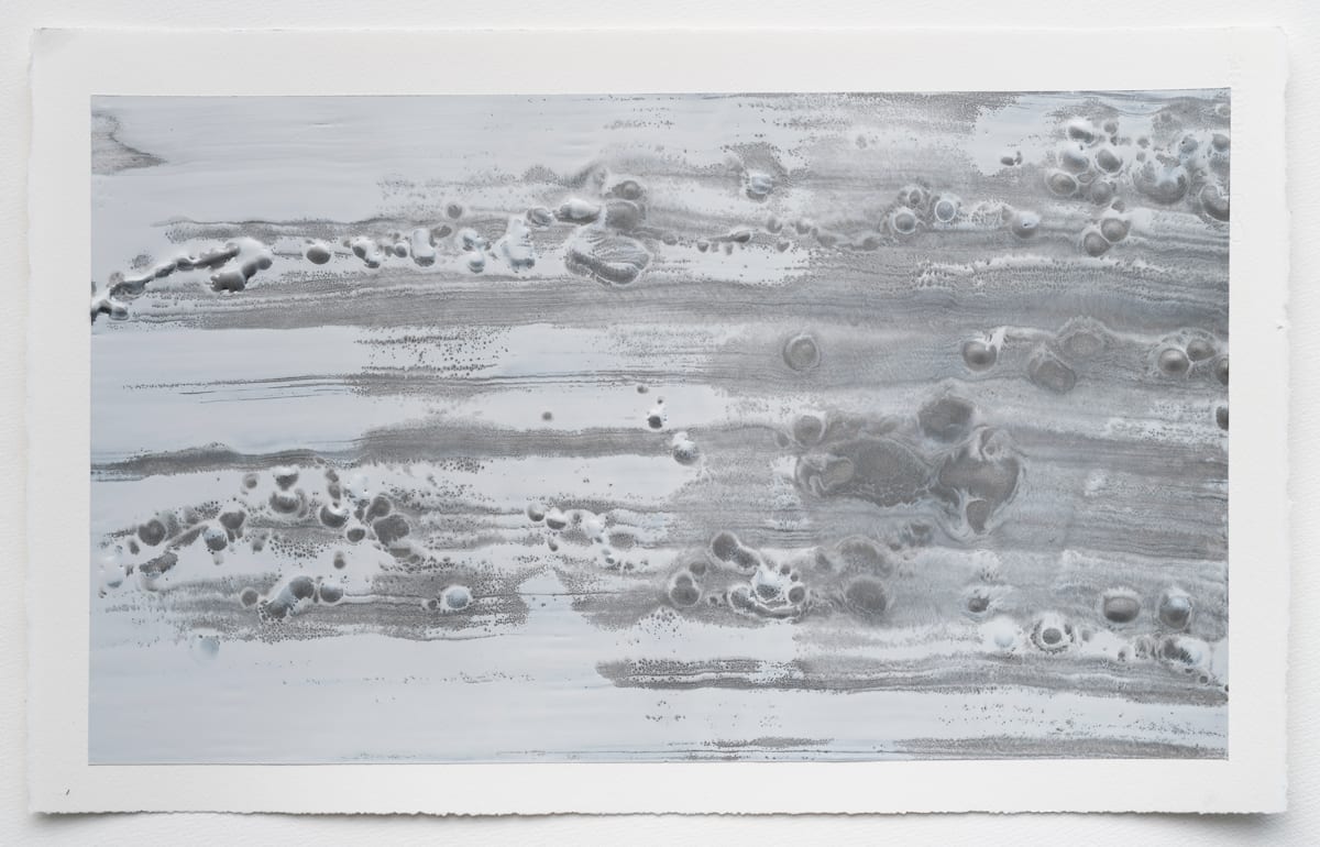 Contemplator 12 by Lynn Basa 