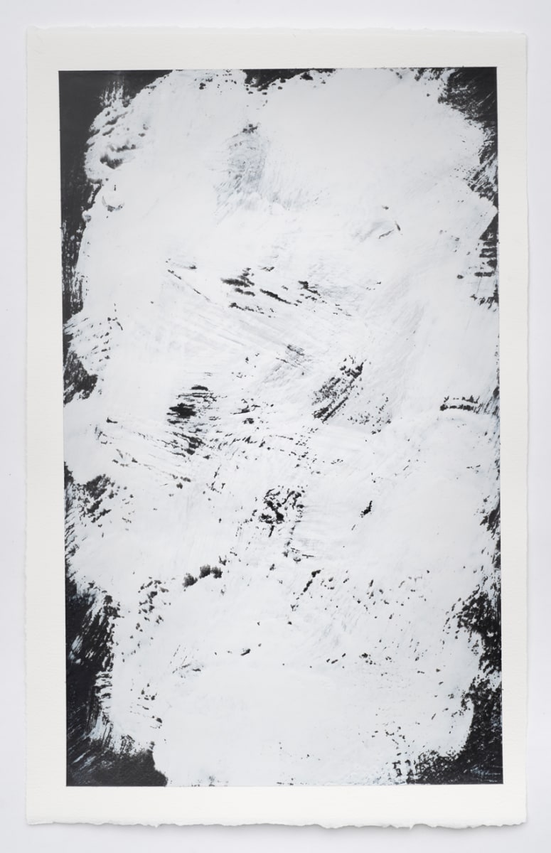 Contemplator 16 by Lynn Basa 