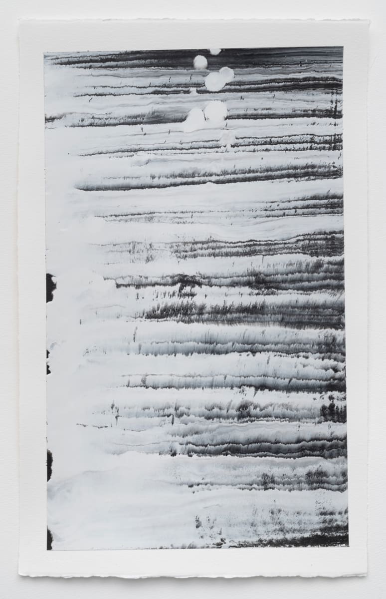 Contemplator 7 by Lynn Basa 