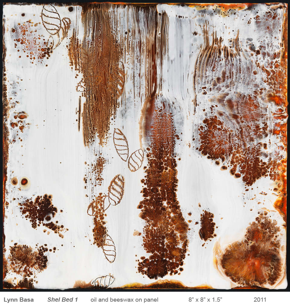 Shell Bed 1 by Lynn Basa, Image 1.