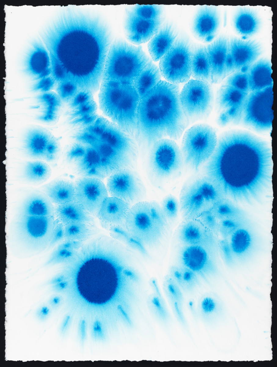 Blue #5 by Lynn Basa 