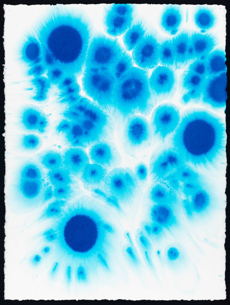 Blue #5 by Lynn Basa, Image 1.