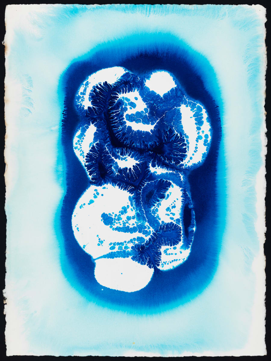 Blue #29 by Lynn Basa, Image 1.