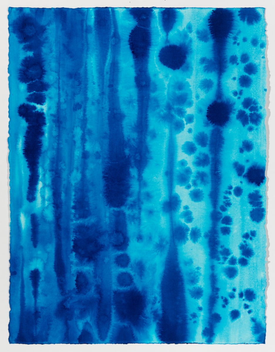 Blue #39 by Lynn Basa 