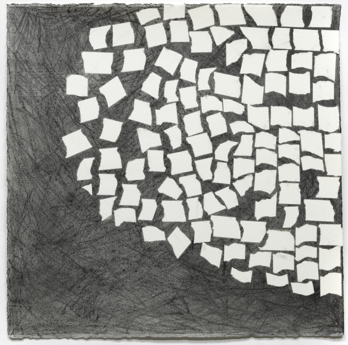 Drawing: Ovoid (left side) by Lynn Basa, Image 1.