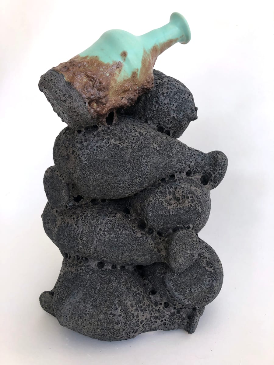 Sole Survivor by Lynn Basa 