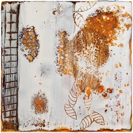 Shell Colony 1 by Lynn Basa, Image 1.