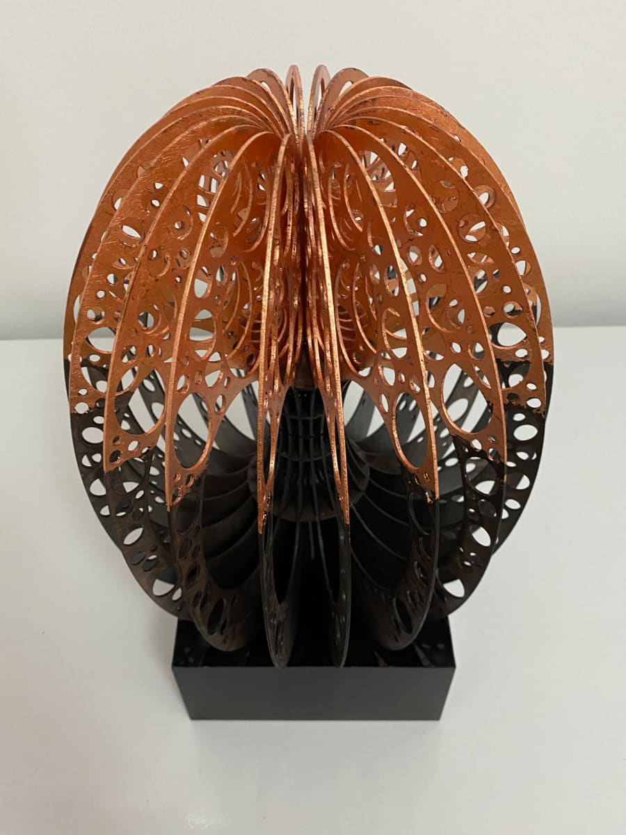 Torus nature flow by Helena 