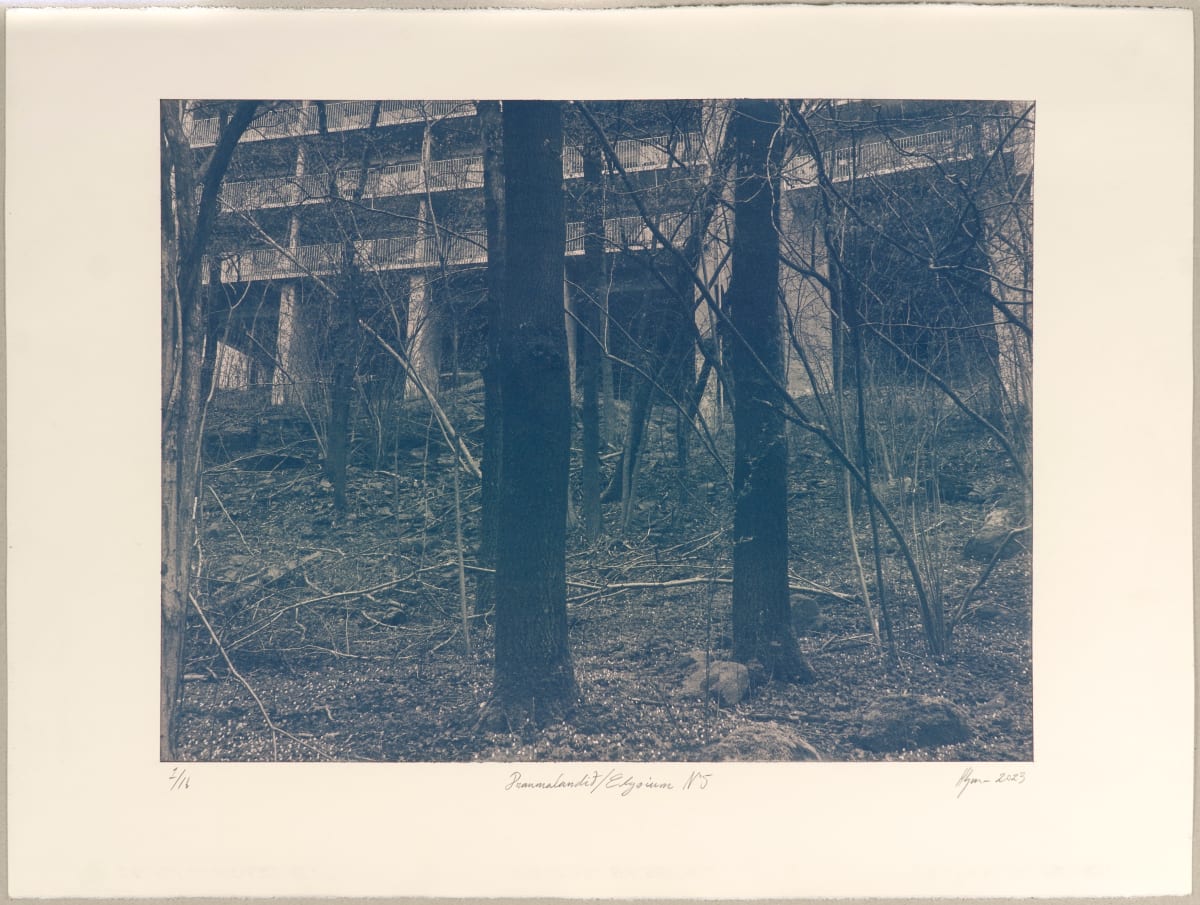 Draumalandið / Elysium N°5 by Hlynur Helgason  Image: Draumalandið / Elysium N°5 — 1/3