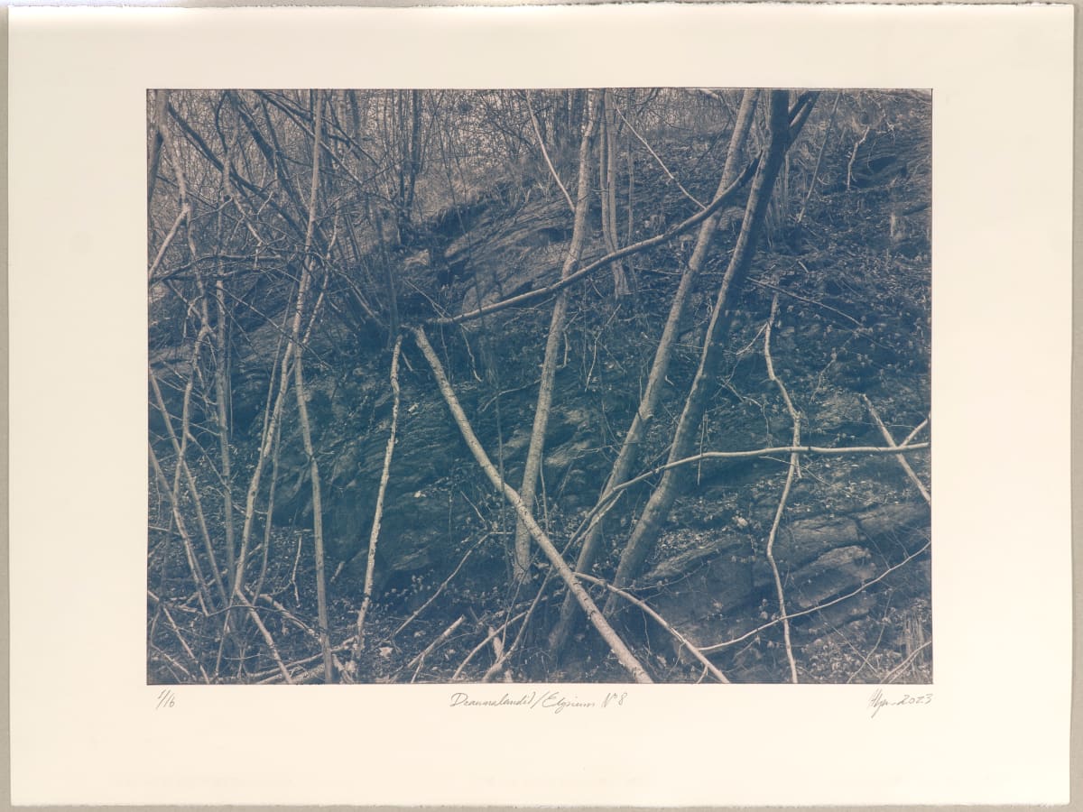 Draumalandið / Elysium N°8 by Hlynur Helgason  Image: Draumalandið / Elysium N°8 — 1/3