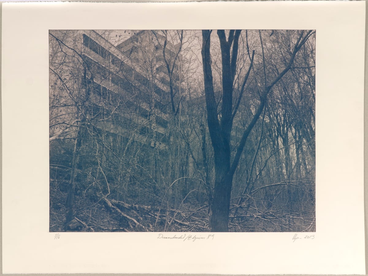 Draumalandið / Elysium N°9 by Hlynur Helgason  Image: Draumalandið / Elysium N°9 — 1/3