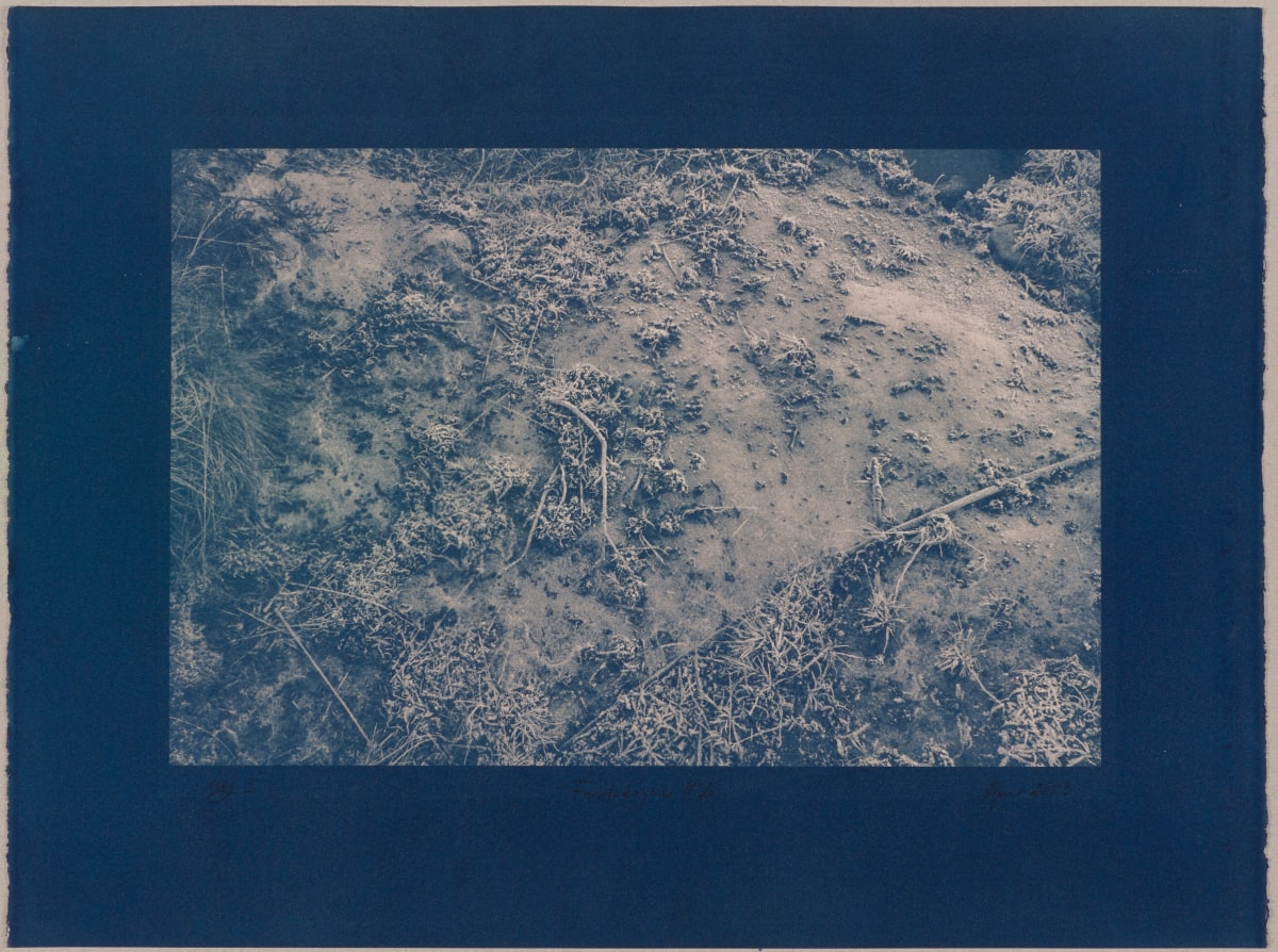 Vetrarskógur / Winter forest N°2 by Hlynur Helgason  Image: Vetrarskógur / Winter forest N°2. Útgáfa / Version 1.