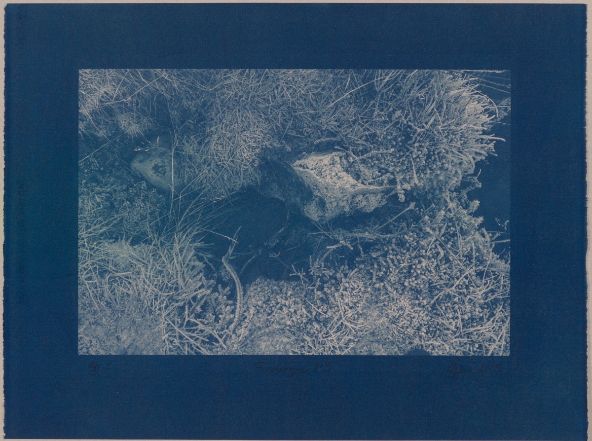 Vetrarskógur / Winter forest N°3 by Hlynur Helgason  Image: Vetrarskógur / Winter forest N°3. Útgáfa / Version 1.