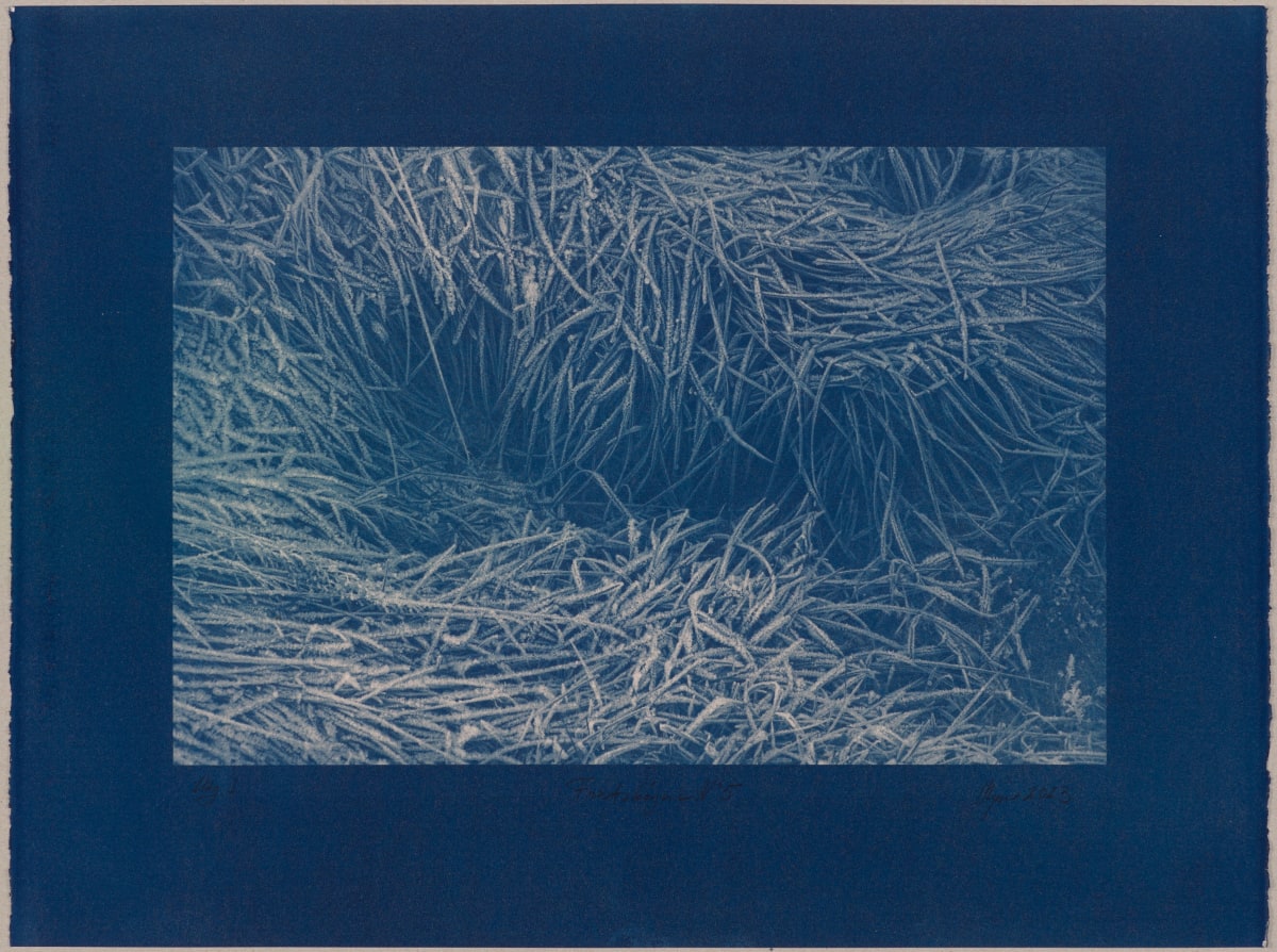 Vetrarskógur / Winter forest N°5 by Hlynur Helgason  Image: Vetrarskógur / Winter forest N°5,  Útgáfa / Version 1.