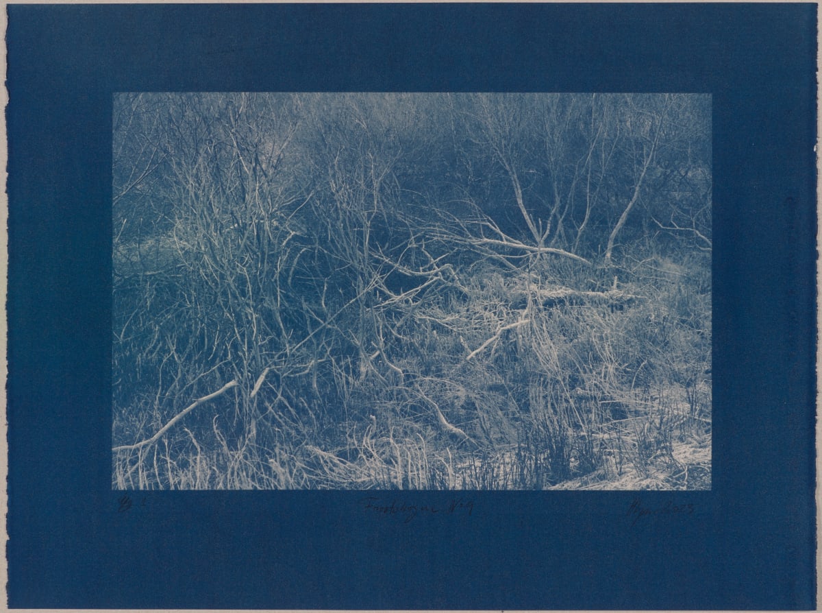 Vetrarskógur / Winter forest N°9 by Hlynur Helgason  Image: Vetrarskógur / Winter forest N°9,  Útgáfa / Version 1.